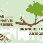 Réseaux des alternatives forestières à Zaï