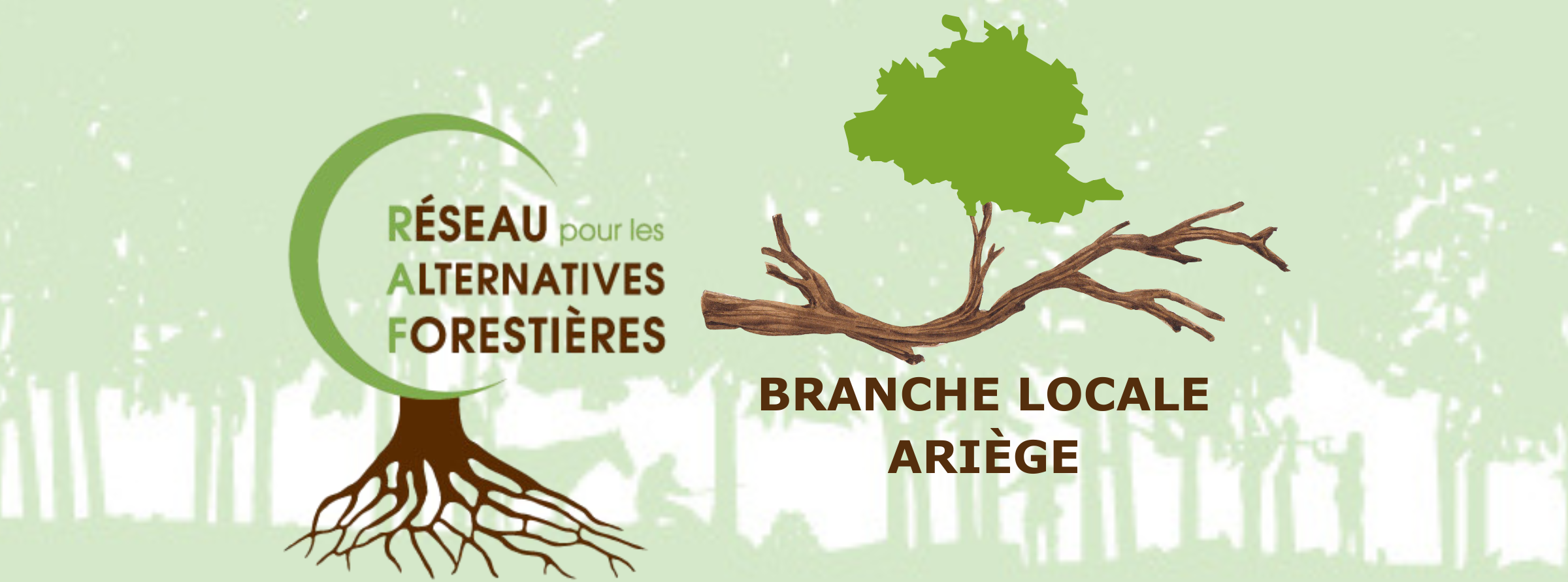 Réseaux des alternatives forestières à Zaï
